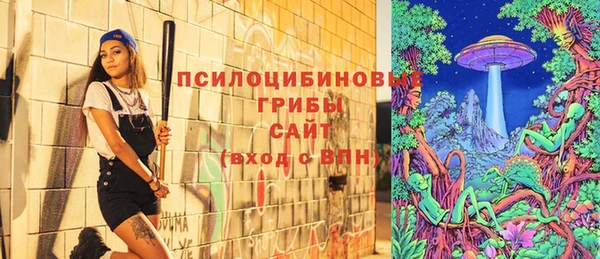 гидра Алексин