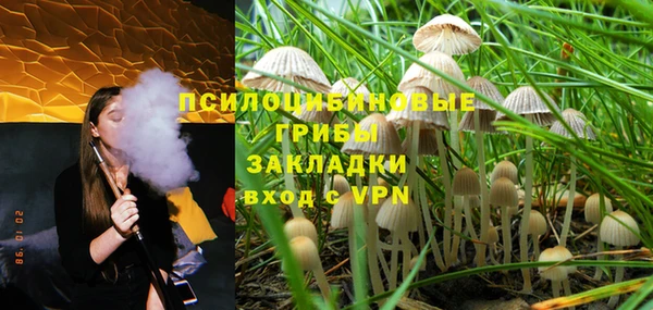 шишки Нягань