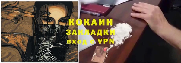 гидра Алексин