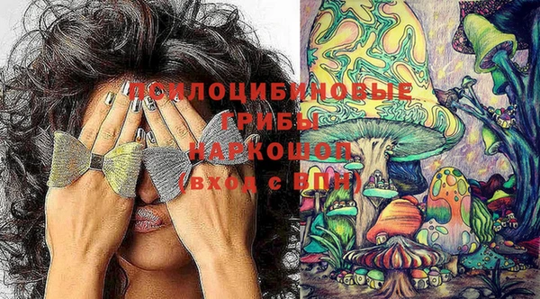 шишки Нягань