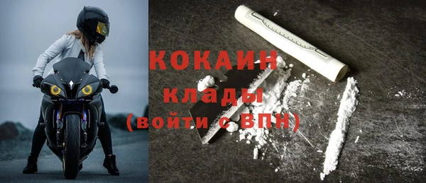 хмурый Няндома