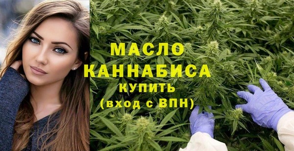 хмурый Няндома