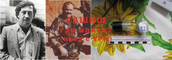 прущий лед Алзамай