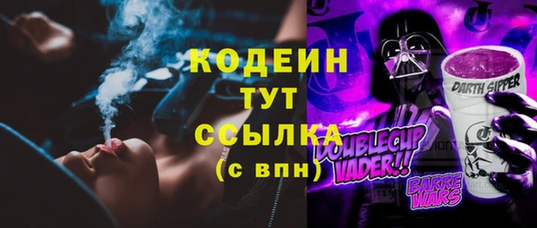 прущий лед Алзамай