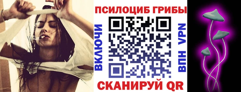 Псилоцибиновые грибы Cubensis Амурск